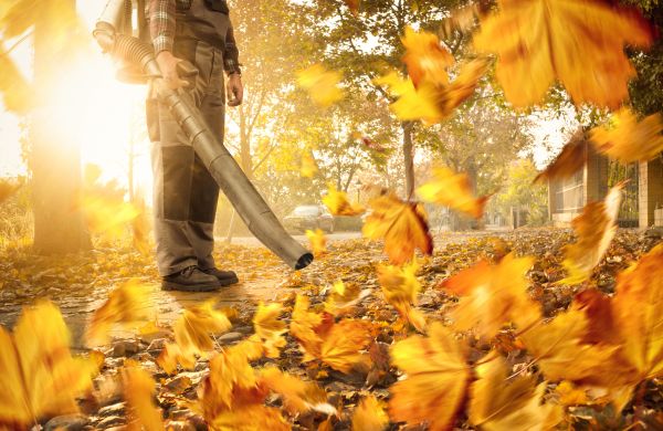 Cost of Leaf Blowing Service in Sparks