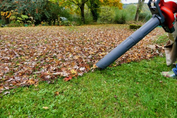 Cost of Leaf Vacuuming Service in Sparks