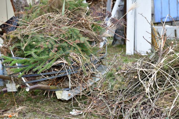 Cost of Yard Debris Removal in Sparks