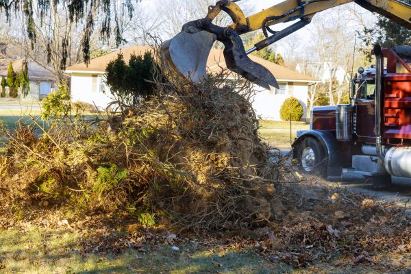 Storm Debris Removal in Sparks