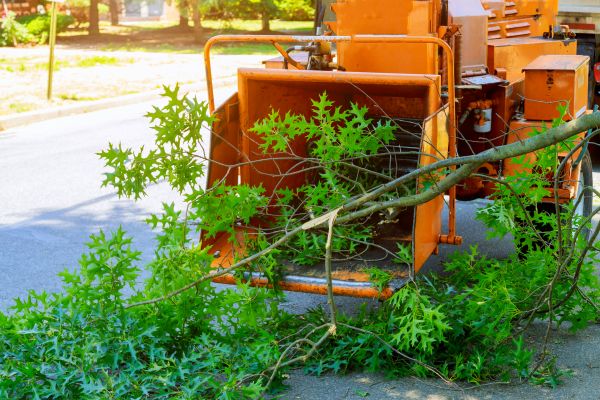 Cost of Tree Branches Removal in Sparks