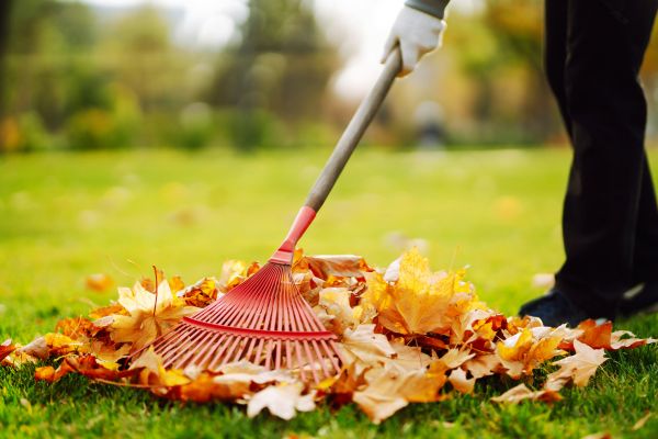Cost of Ditch Leaf Removal in Sparks
