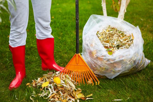 Cost of Leaf Disposal Service in Sparks