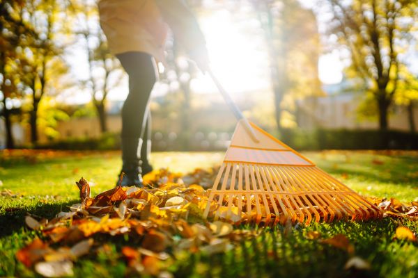 Cost of Leaves Raking in Sparks