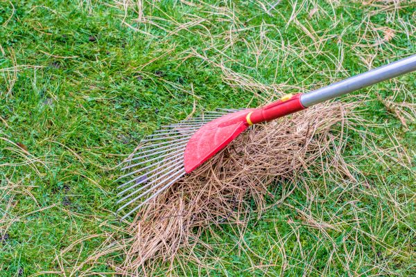 Cost of Yard Raking in Sparks