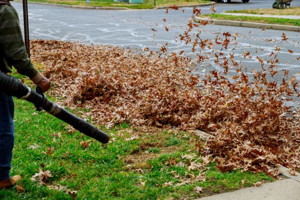 Cost of Garden Leaf Removal in Sparks