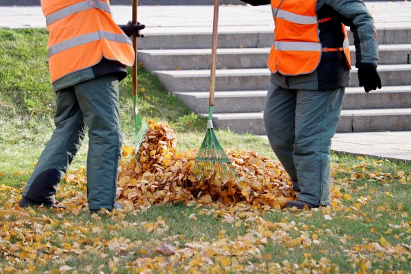 Cost of Leaf Hauling Service in Sparks