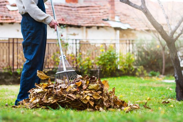 Cost of Spring Lawn Cleanup in Sparks