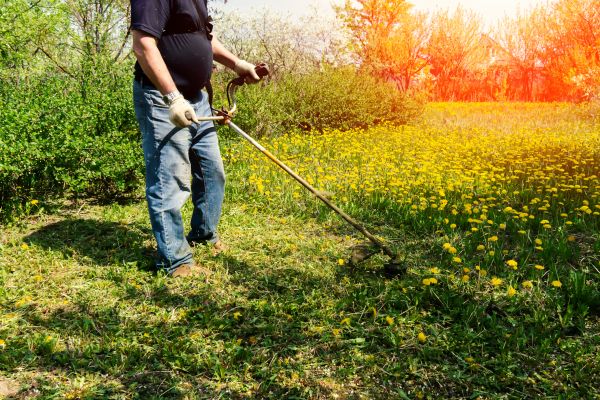 Cost of Yard Clearing Service in Sparks