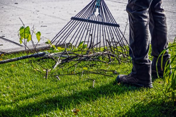 Cost of Yard Debris Cleanup in Sparks