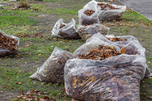 Cost of Leaf Pile Disposal in Sparks