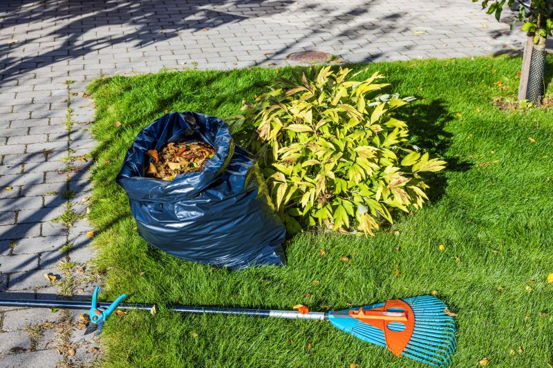 Lawn Waste Removal