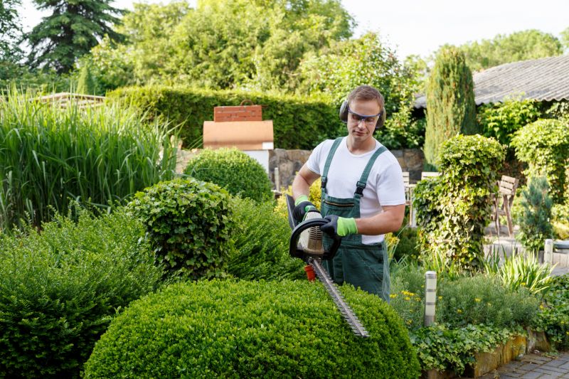 Tree and Shrub Trimming Service